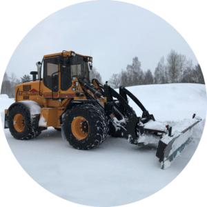 l9 snöblad