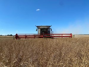 Lexion 7600